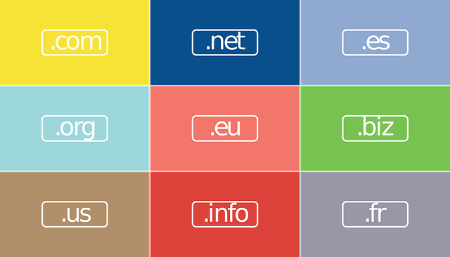 Domain Names